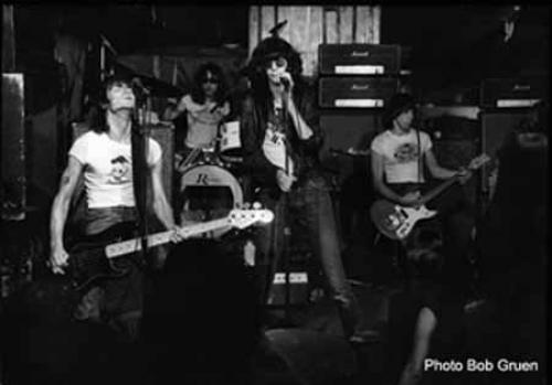 Horizontal Ramones